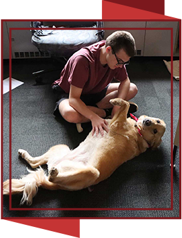 Student petting a dog